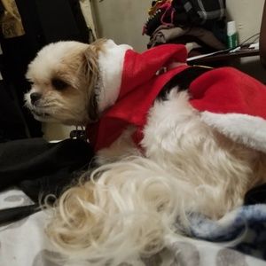 Meet your Posher, Lydia